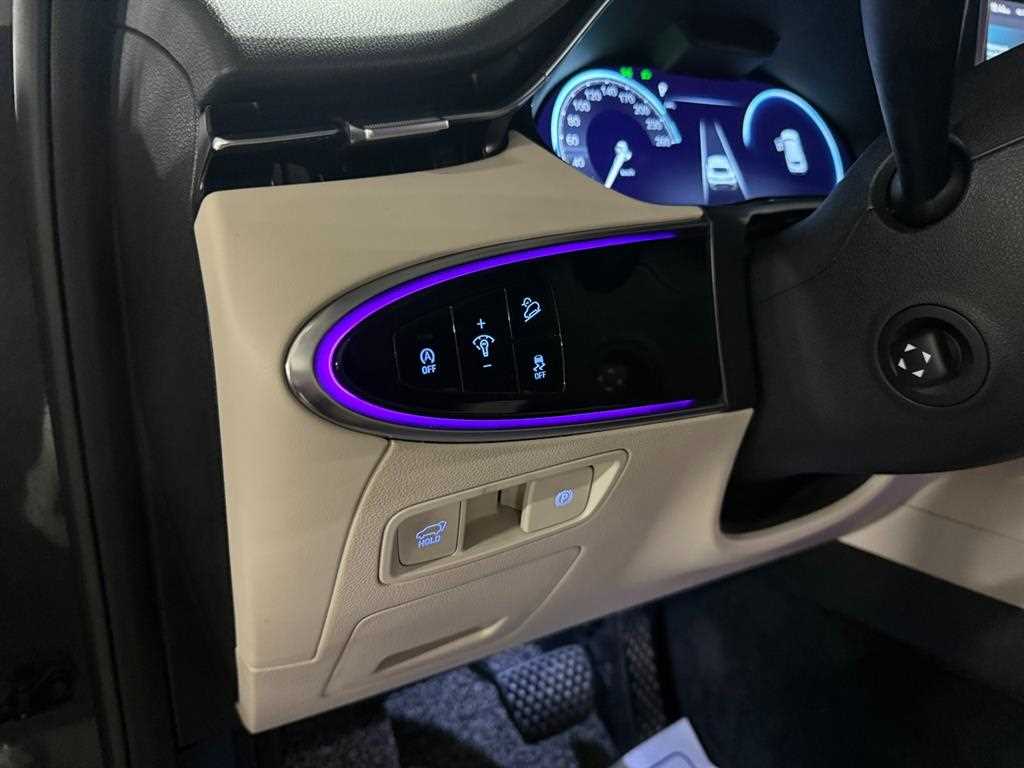 Genesis GV70 - Vista 12