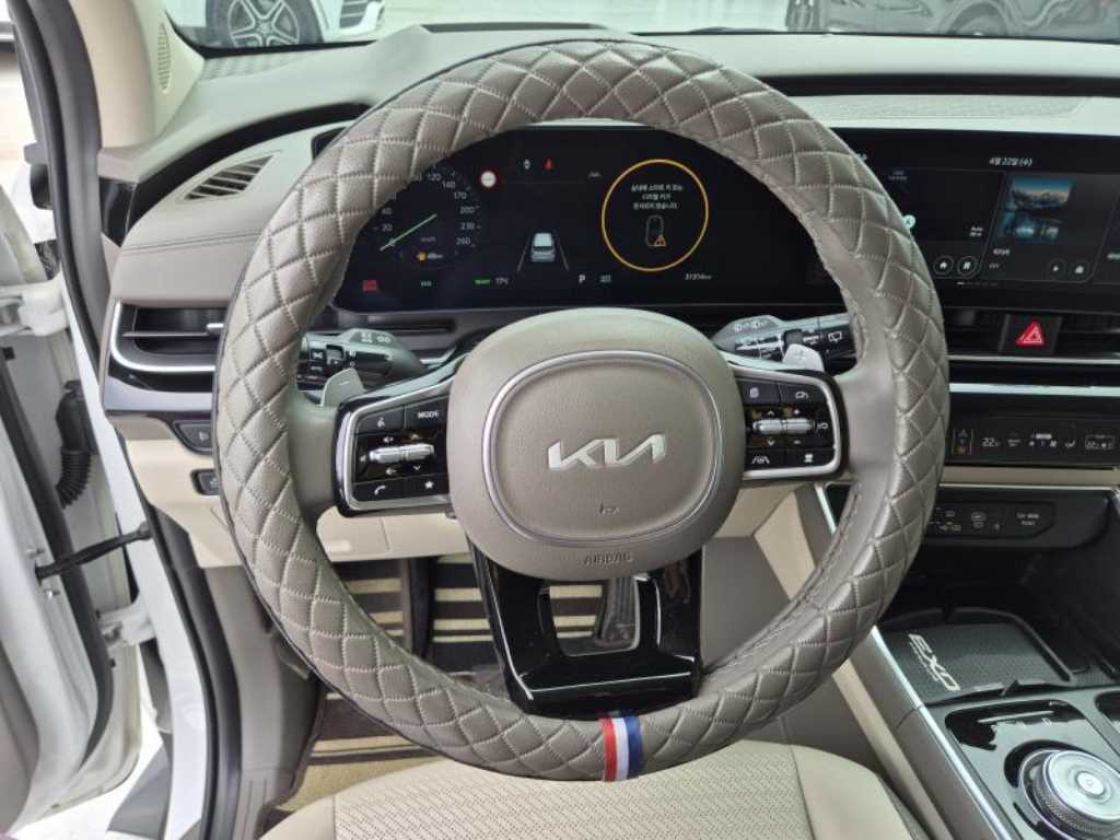 KIA Carnival - Vista 12