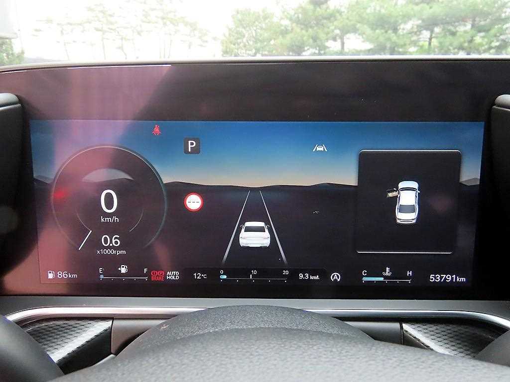 Genesis G90 - Vista 9