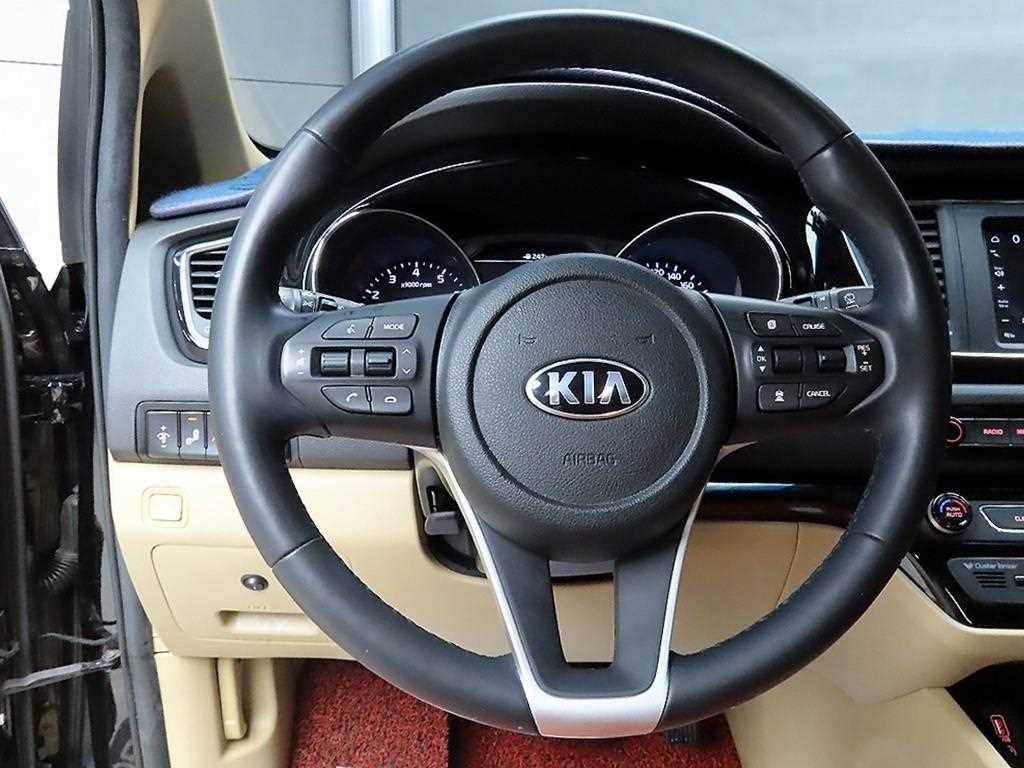 KIA Carnival - Vista 9