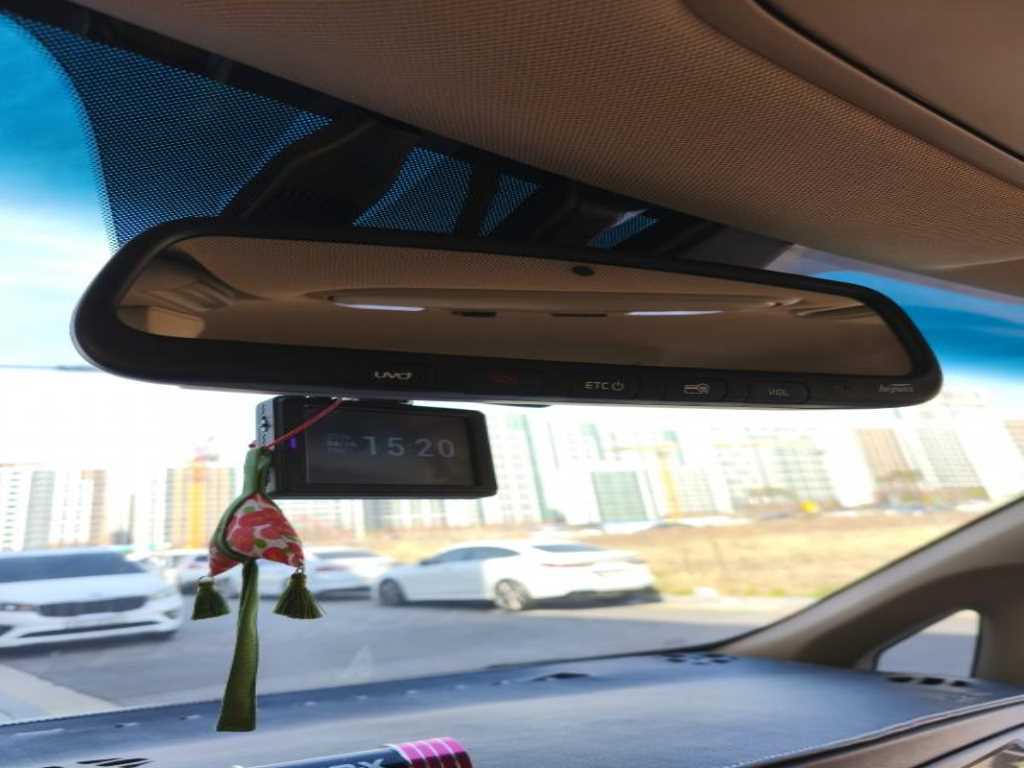 KIA Carnival - Vista 4