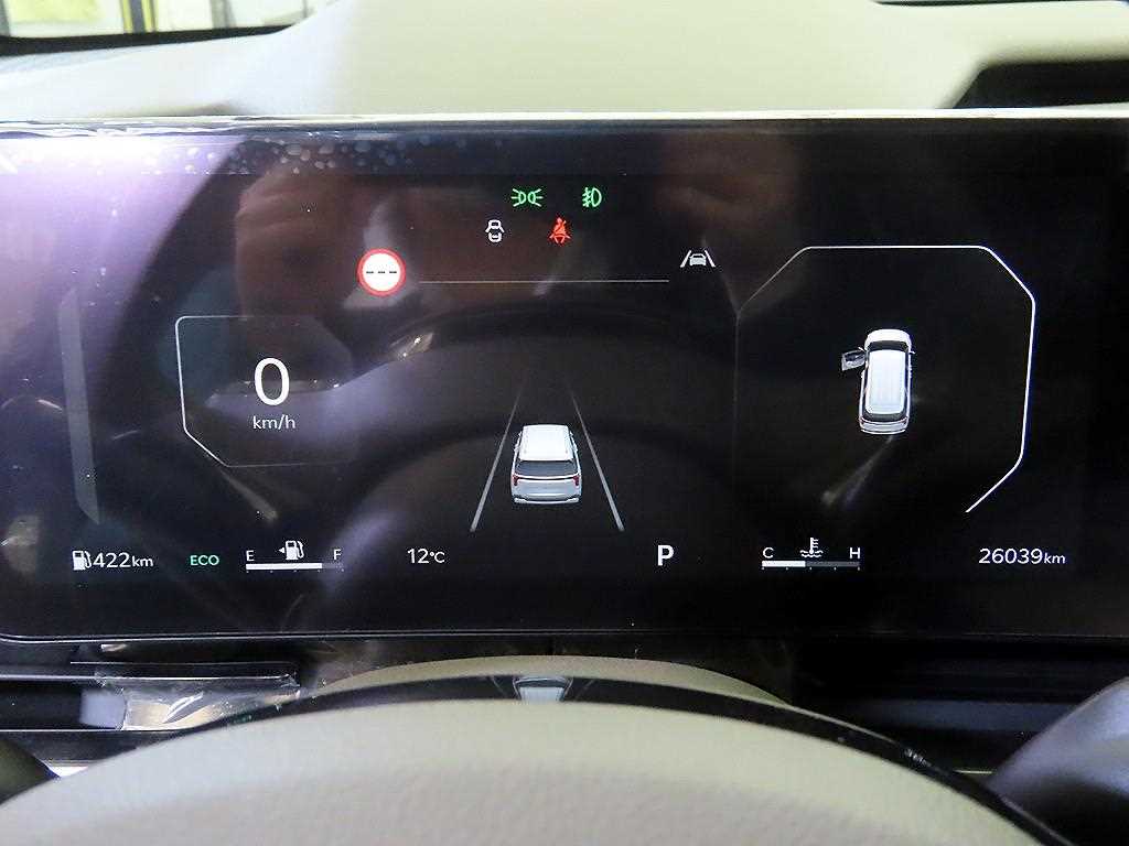 KIA Carnival - Vista 9