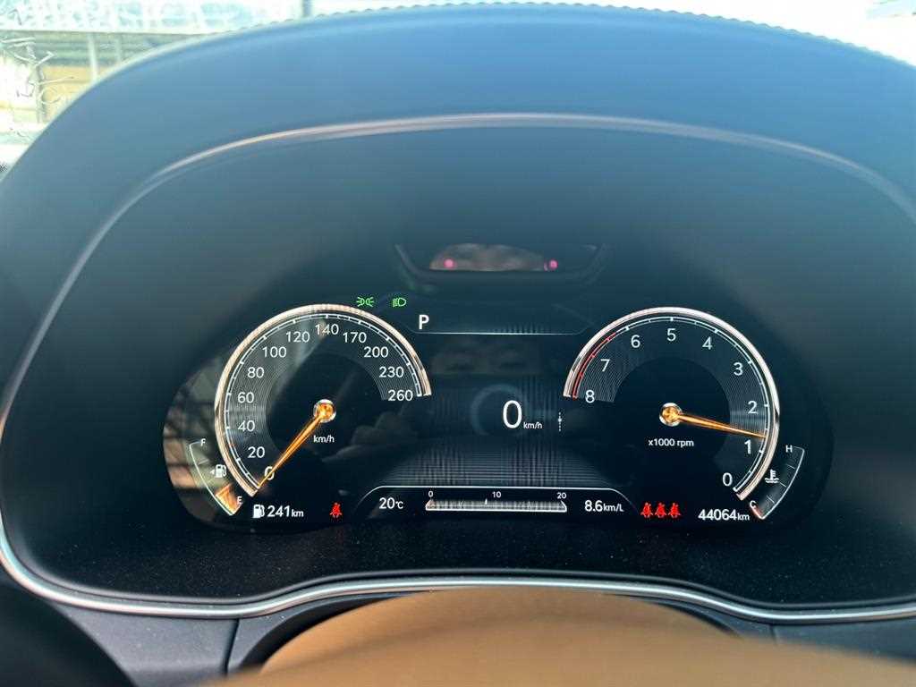 Genesis GV80 - Vista 4