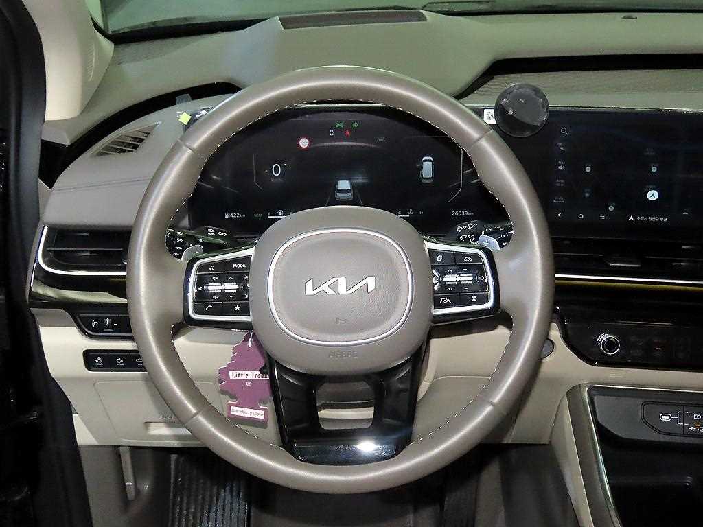 KIA Carnival - Vista 8