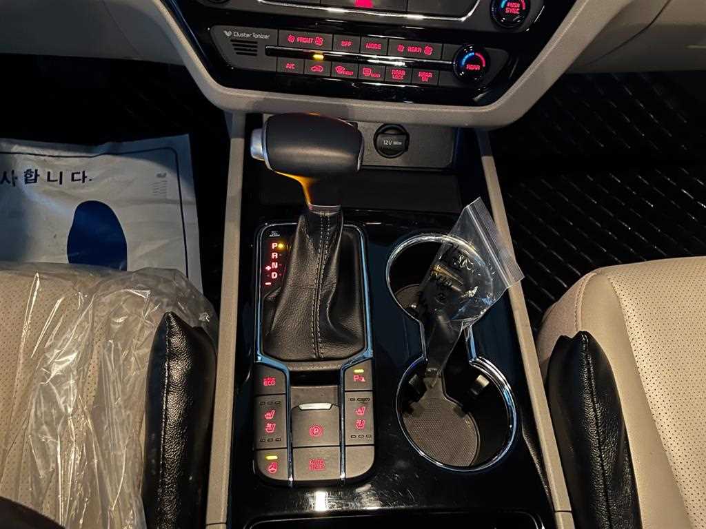 KIA Carnival - Vista 12