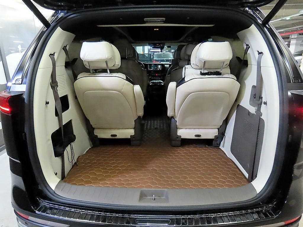 KIA Carnival - Vista 12