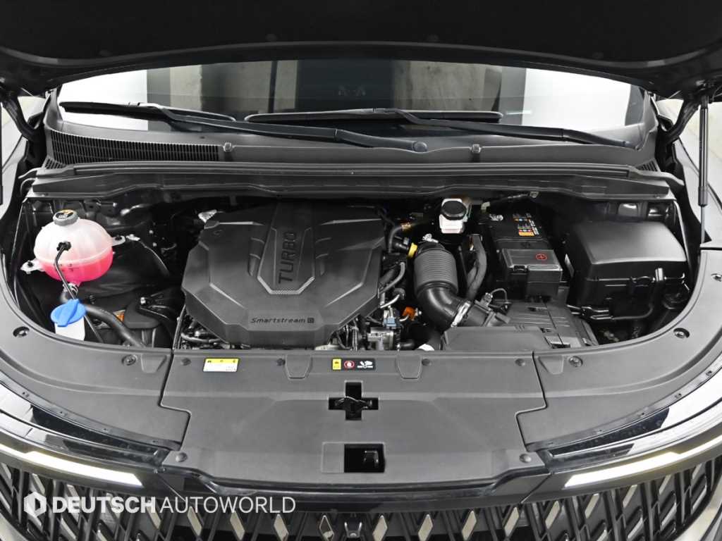 KIA Carnival - Vista 6