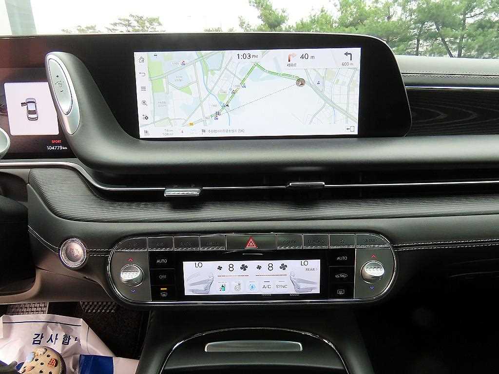 Genesis G90 - Vista 12