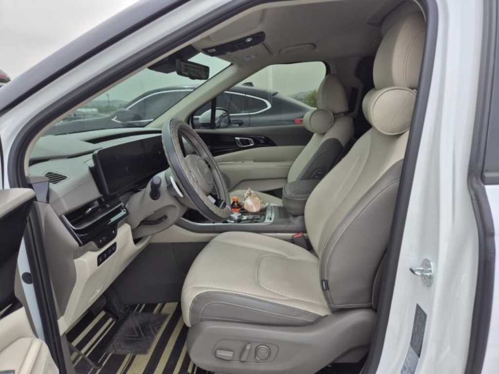 KIA Carnival - Vista 10