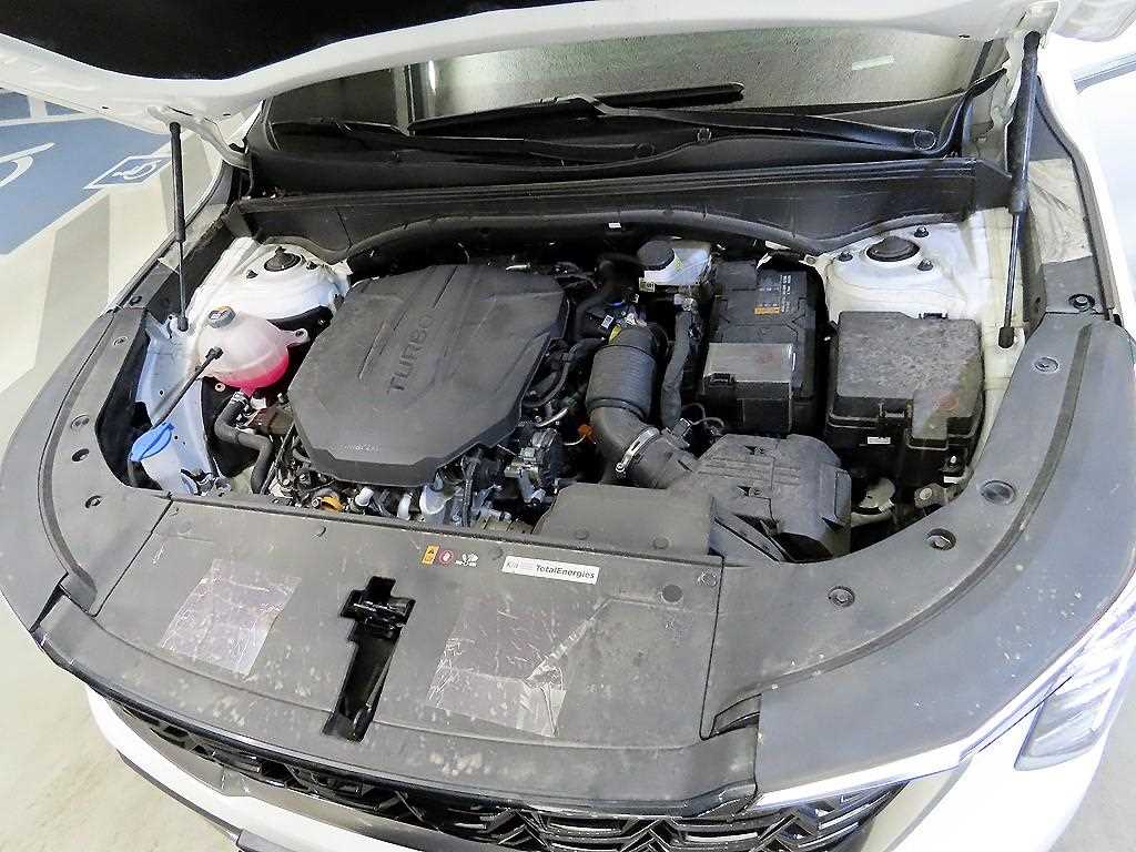 KIA Sorento 2025 Blanco - Importación desde Corea - HF Imports Iquique - Foto 19