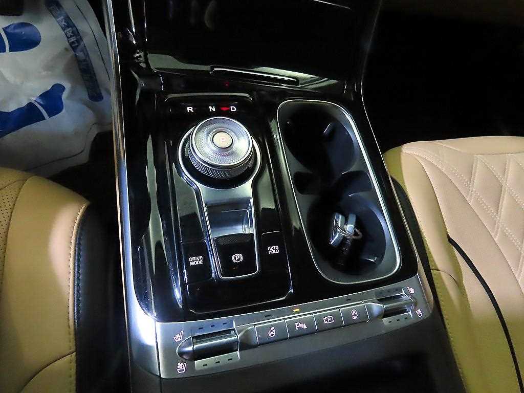 KIA Carnival - Vista 12