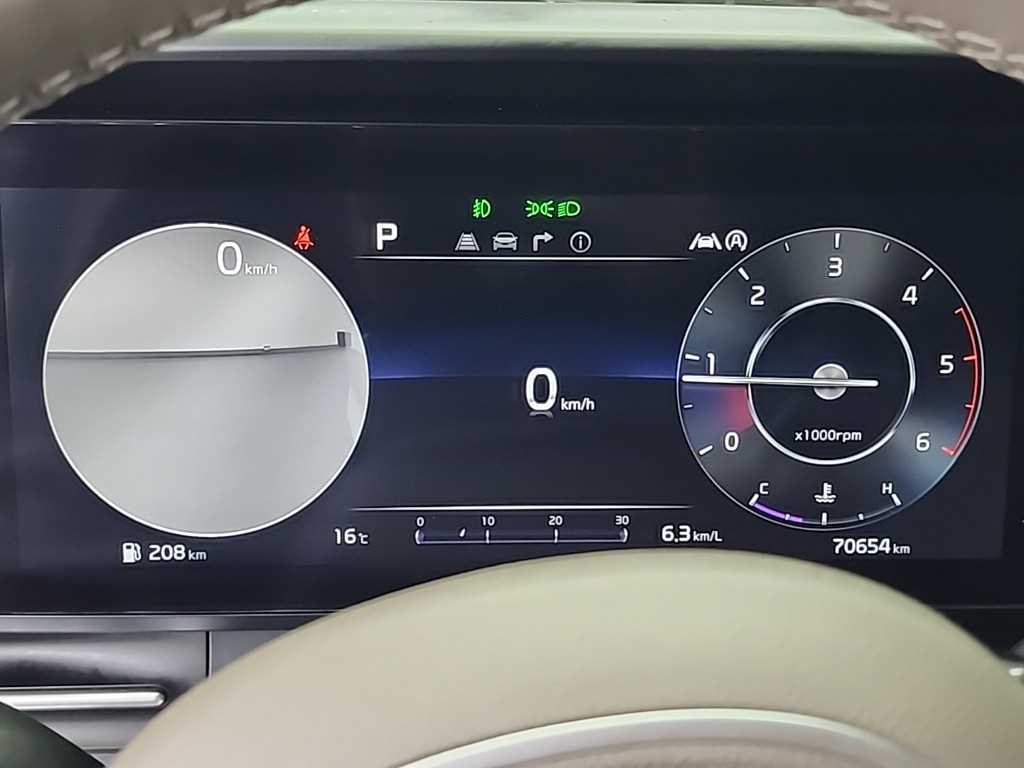 KIA Carnival - Vista 6