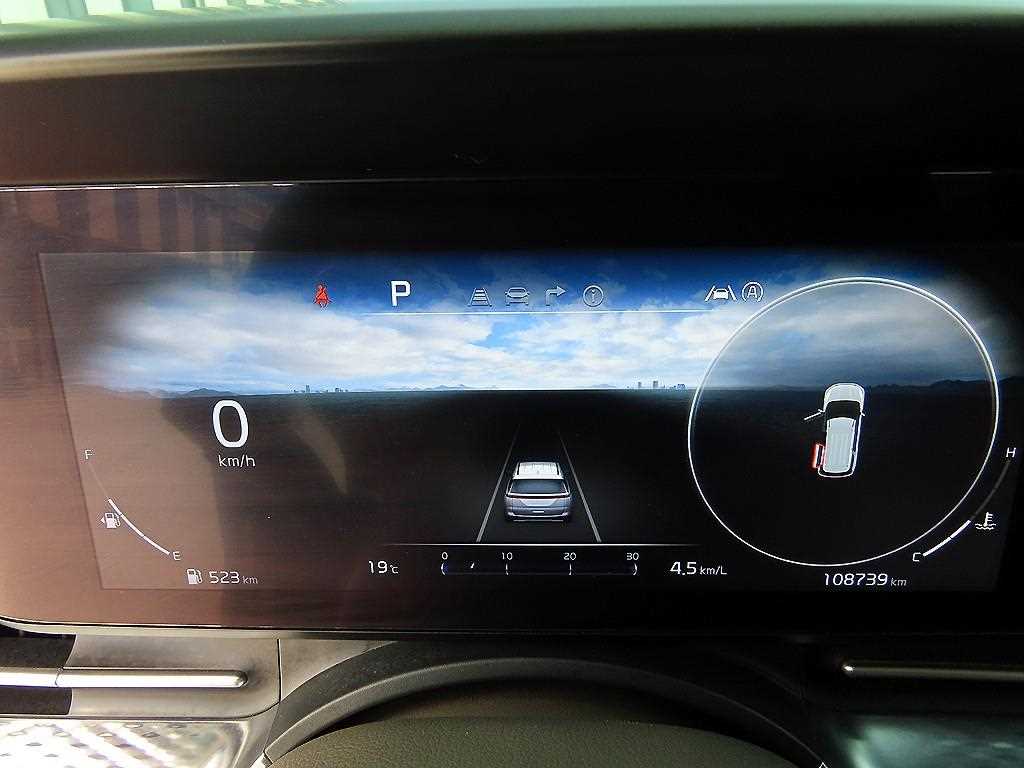 KIA Carnival - Vista 10