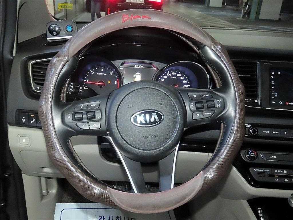 KIA Carnival - Vista 8