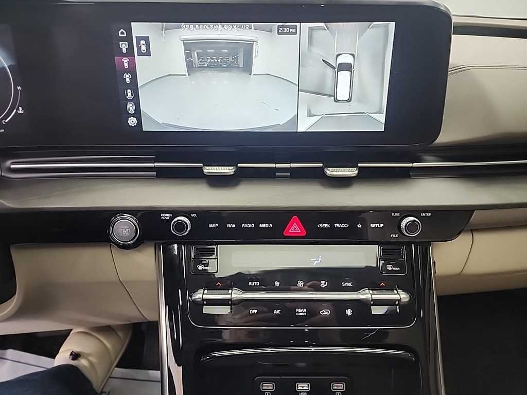 KIA Carnival - Vista 10