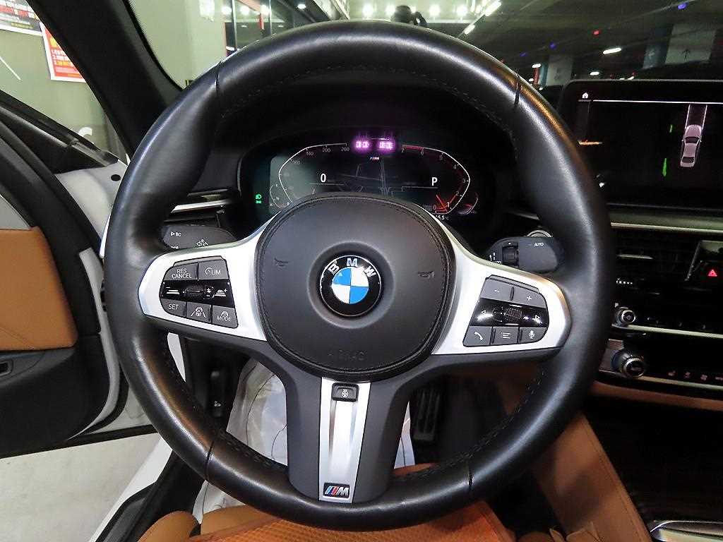 BMW 5 Series - Vista 8