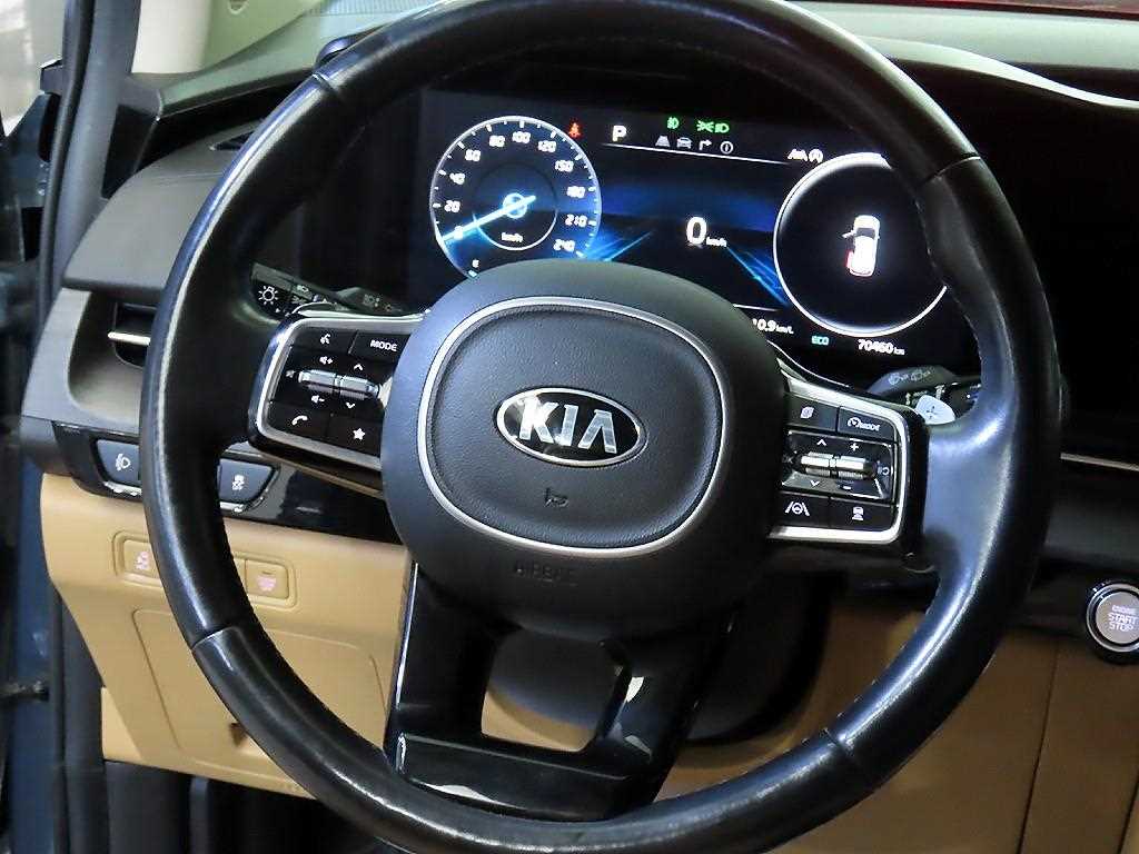 KIA Carnival - Vista 8