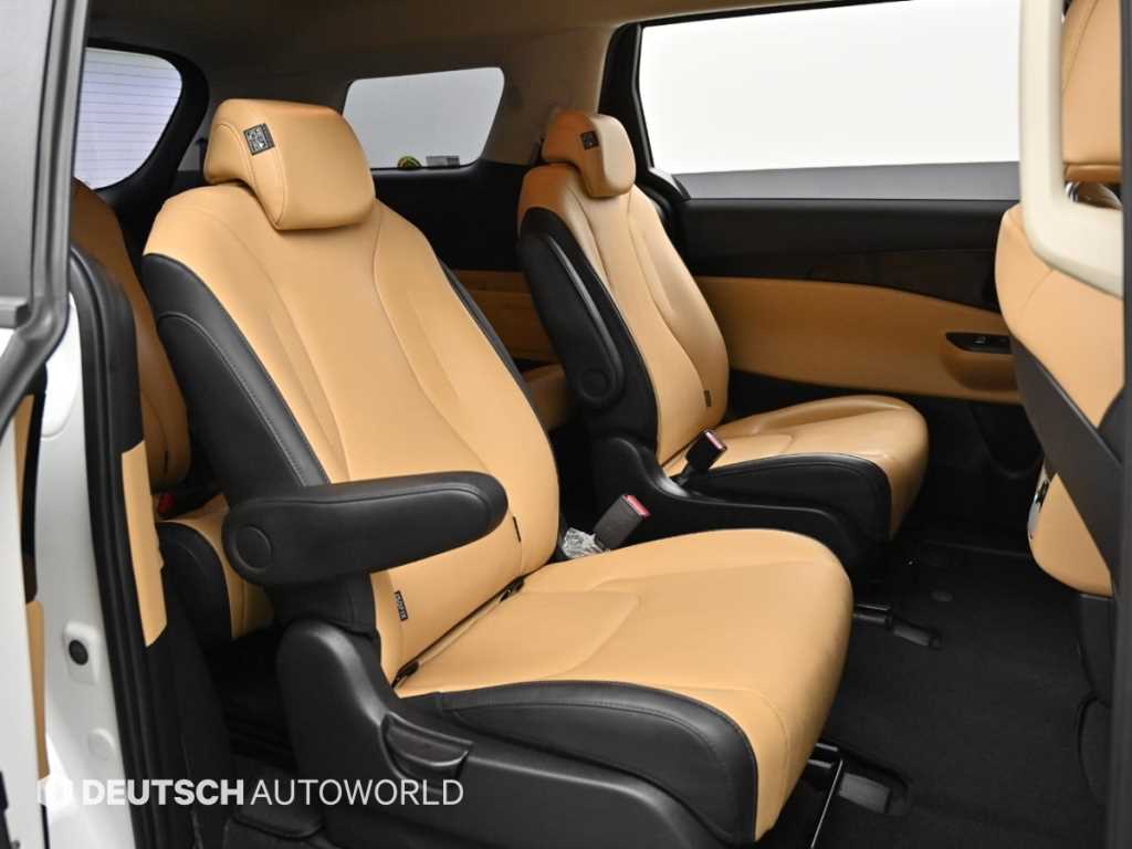 KIA Carnival - Vista 12