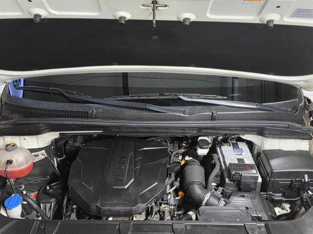 KIA Carnival - Vista 6