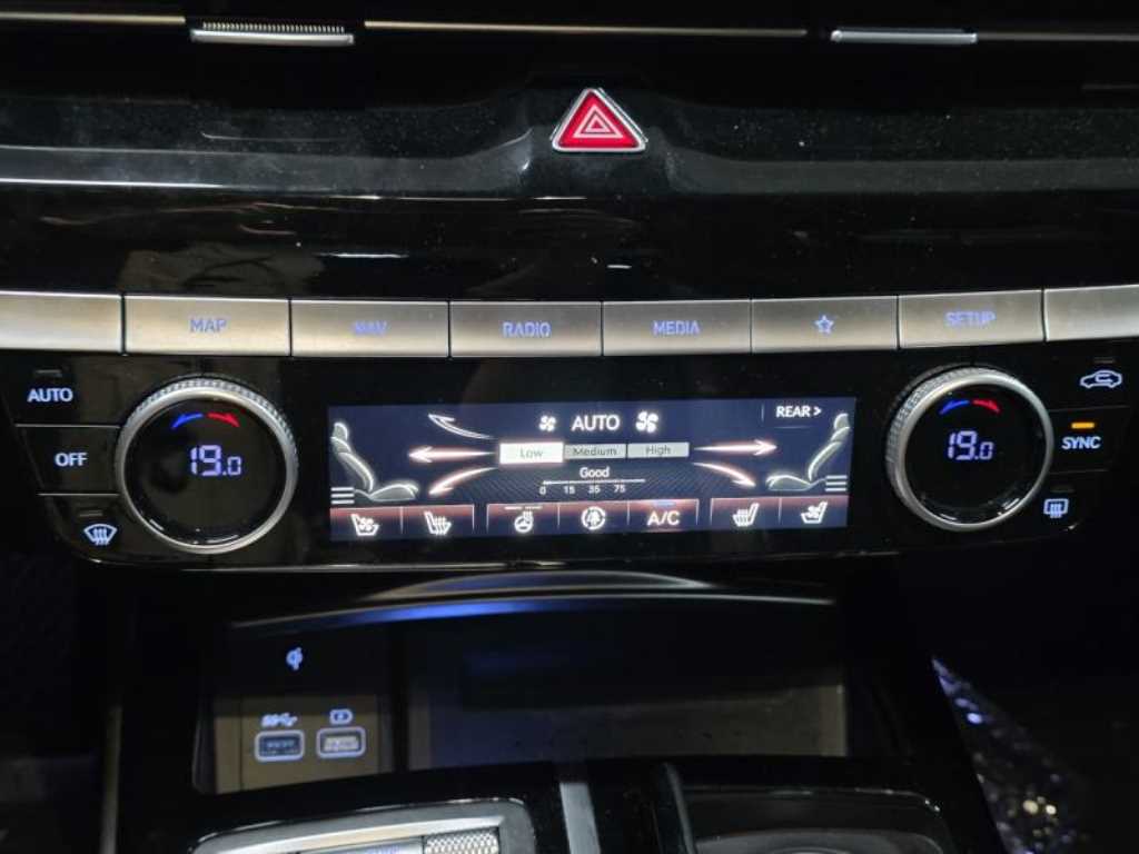Genesis G80 - Vista 5