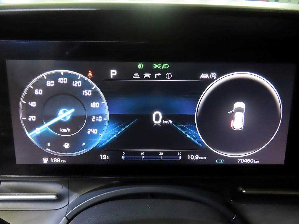 KIA Carnival - Vista 9