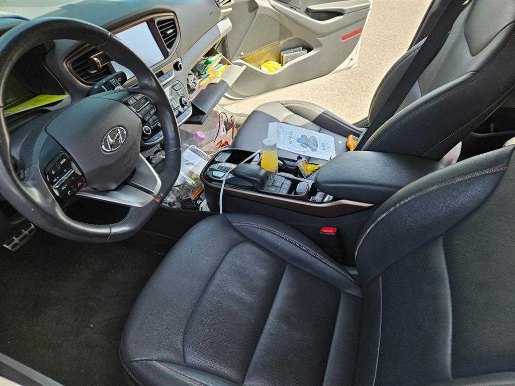 HYUNDAI Ioniq - Vista 7