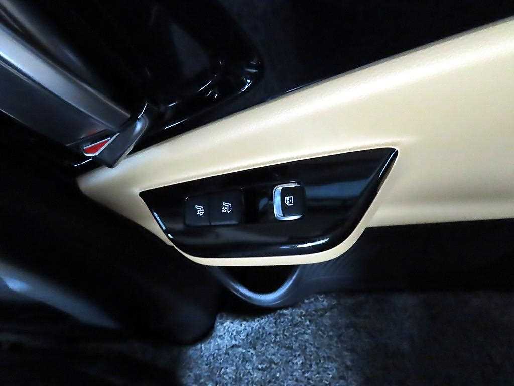 KIA Carnival - Vista 12