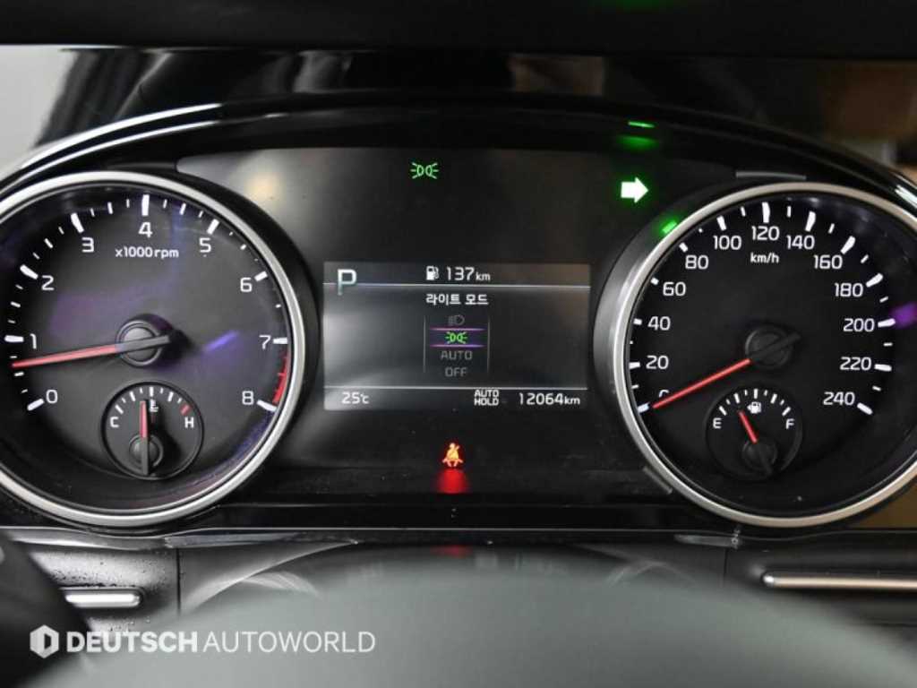 KIA Carnival - Vista 8