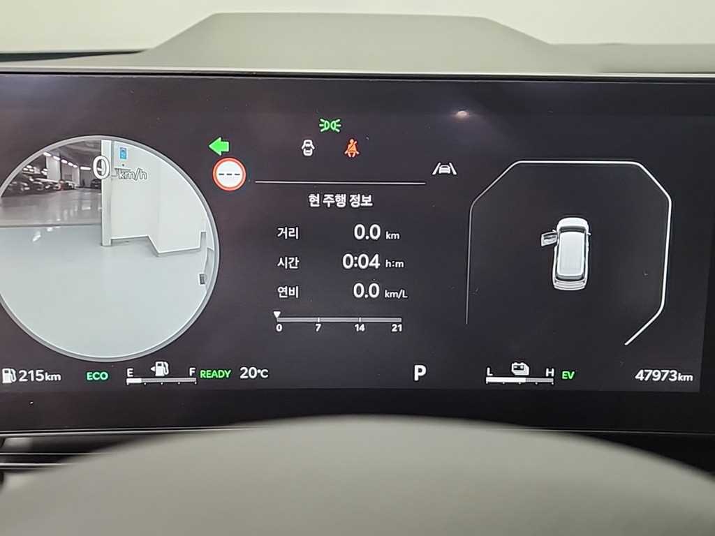 KIA Carnival - Vista 6