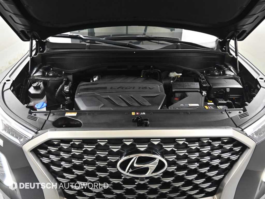 HYUNDAI Palisade - Vista 6