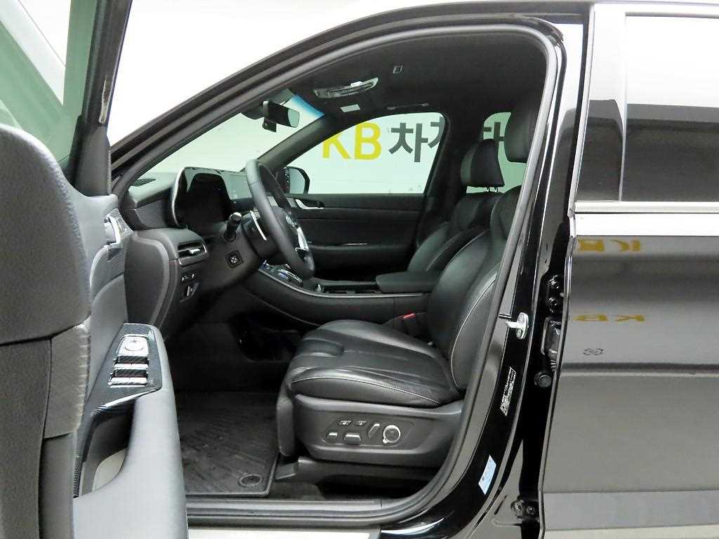 HYUNDAI Palisade - Vista 11