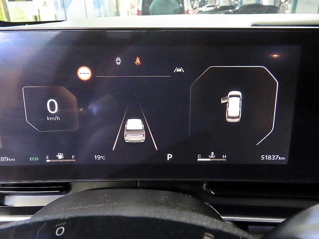 KIA Carnival - Vista 9