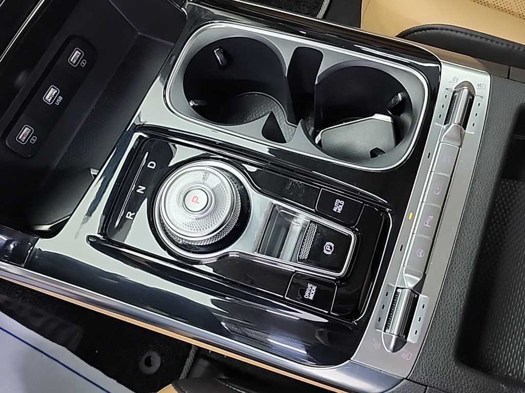KIA Carnival - Vista 8