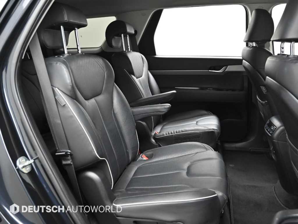 HYUNDAI Palisade - Vista 12