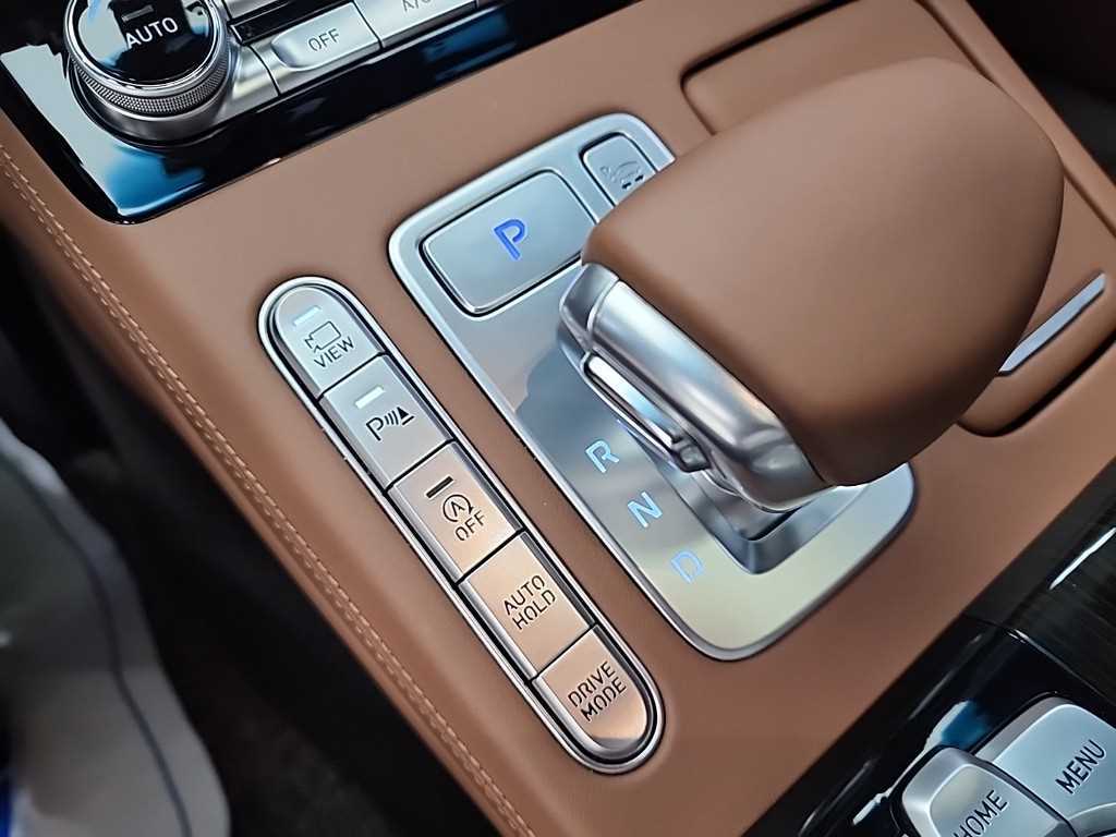 Genesis G90 - Vista 9