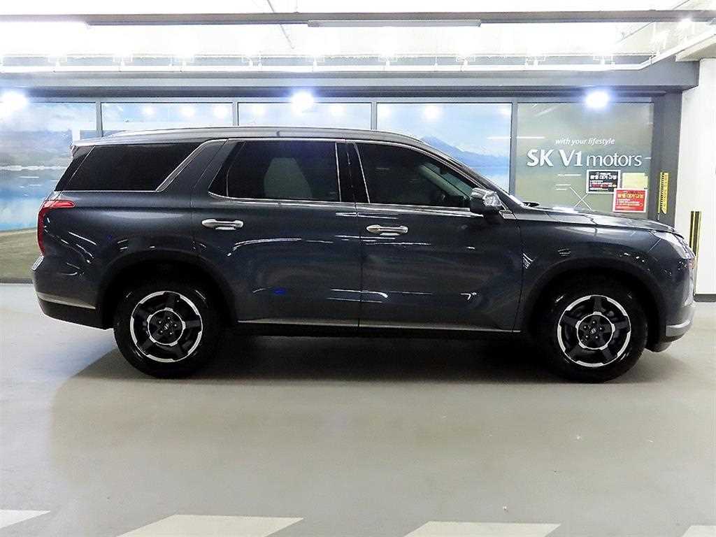 HYUNDAI Palisade - Vista 3