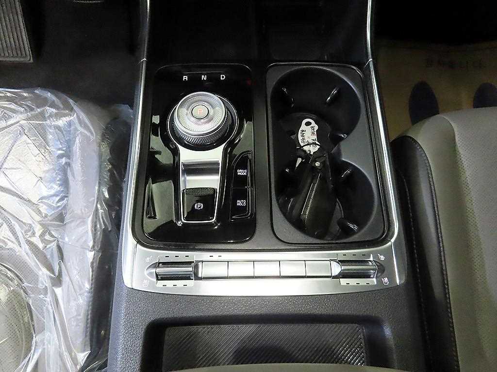 KIA Carnival - Vista 12