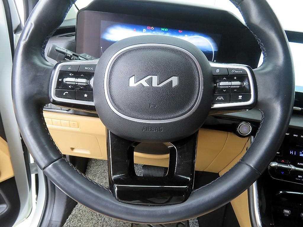 KIA Carnival - Vista 10