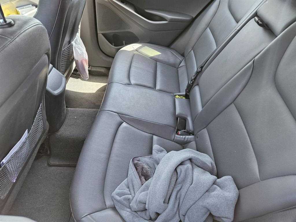 HYUNDAI Ioniq - Vista 6