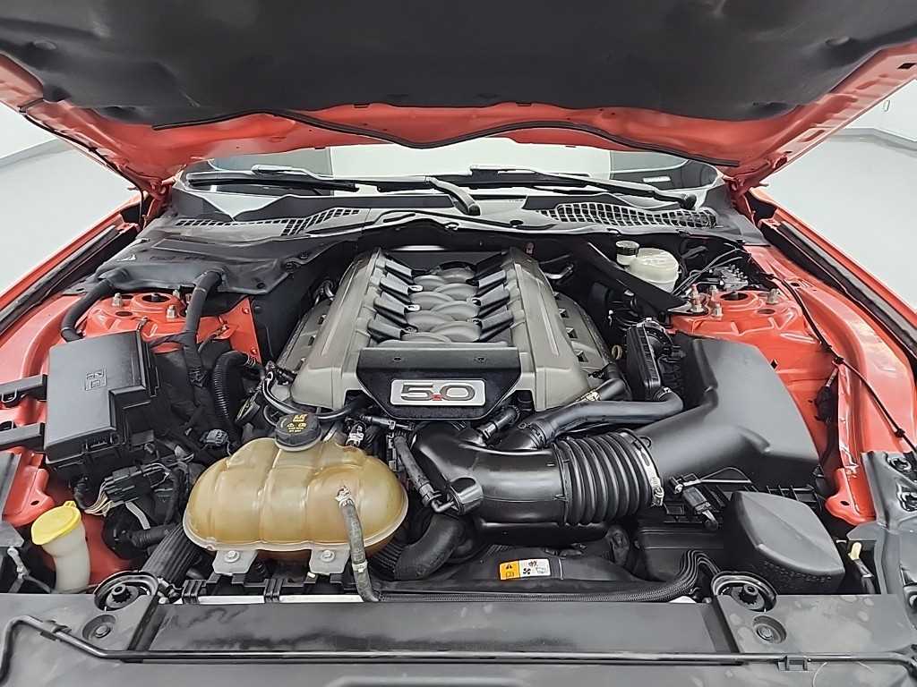 Ford Mustang - Vista 5