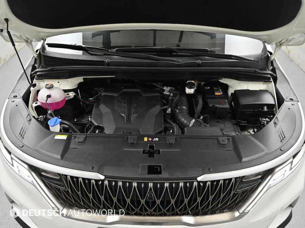 KIA Carnival - Vista 6