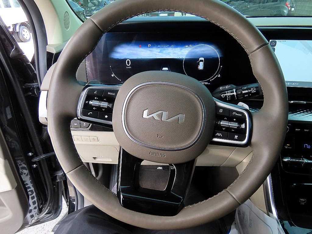 KIA Carnival - Vista 9