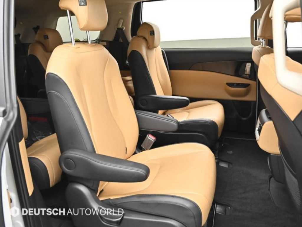KIA Carnival - Vista 12