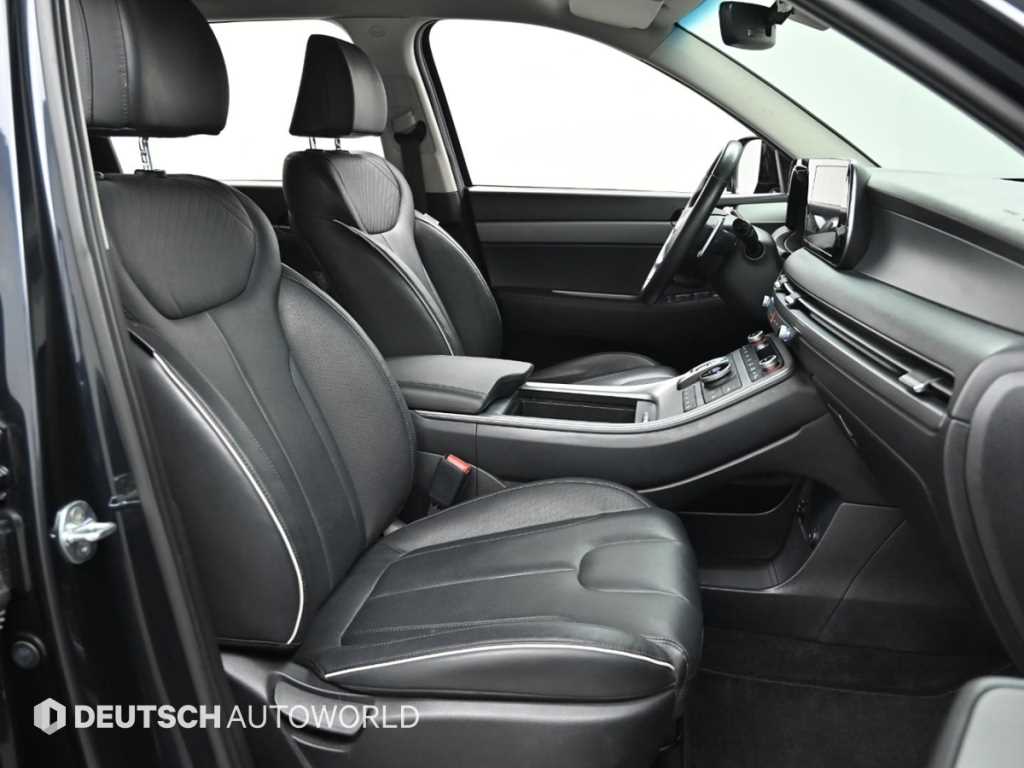 HYUNDAI Palisade - Vista 10