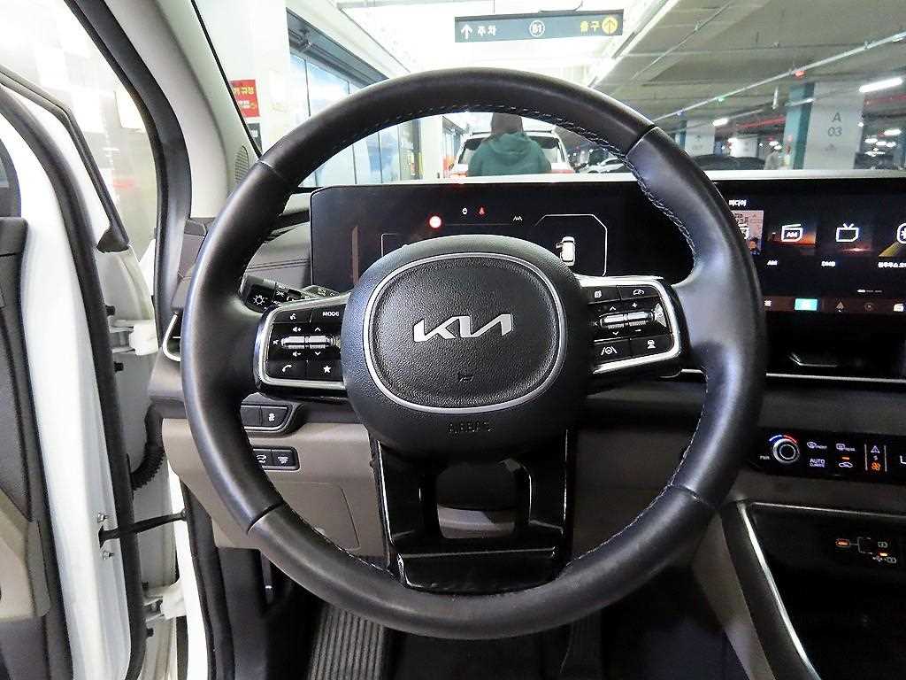 KIA Carnival - Vista 8