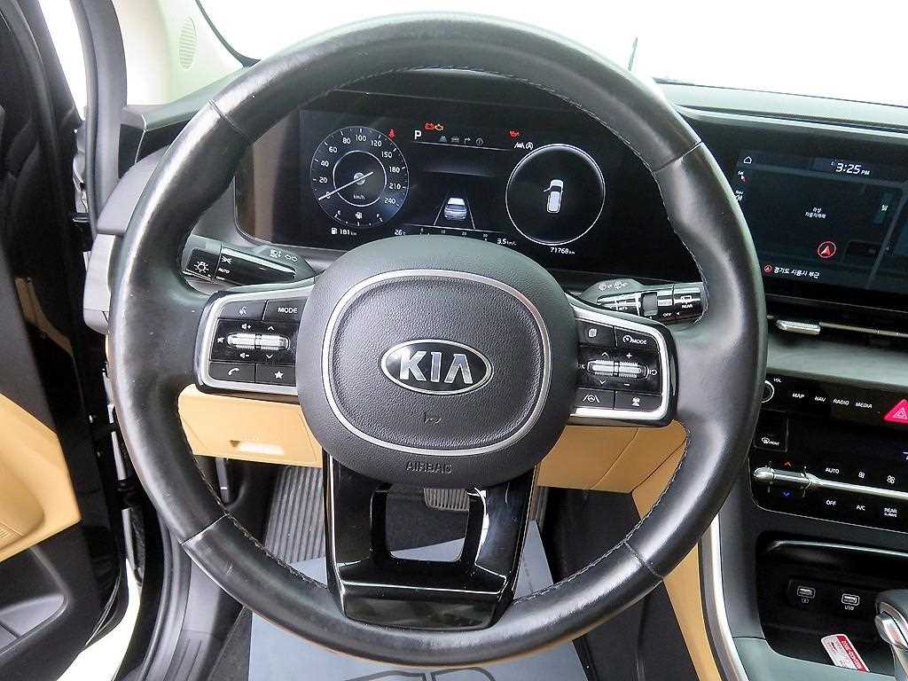KIA Carnival - Vista 10
