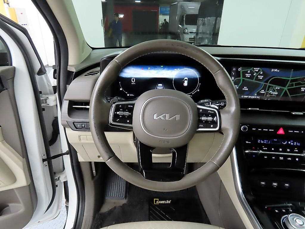KIA Carnival - Vista 9