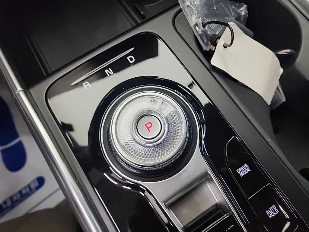 KIA Carnival - Vista 8