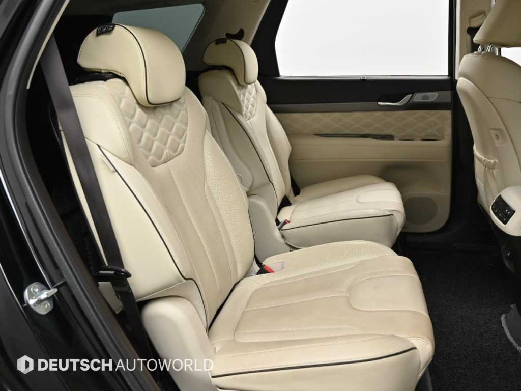 HYUNDAI Palisade - Vista 12