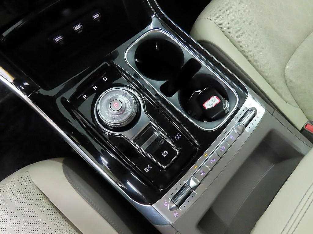 KIA Carnival - Vista 10